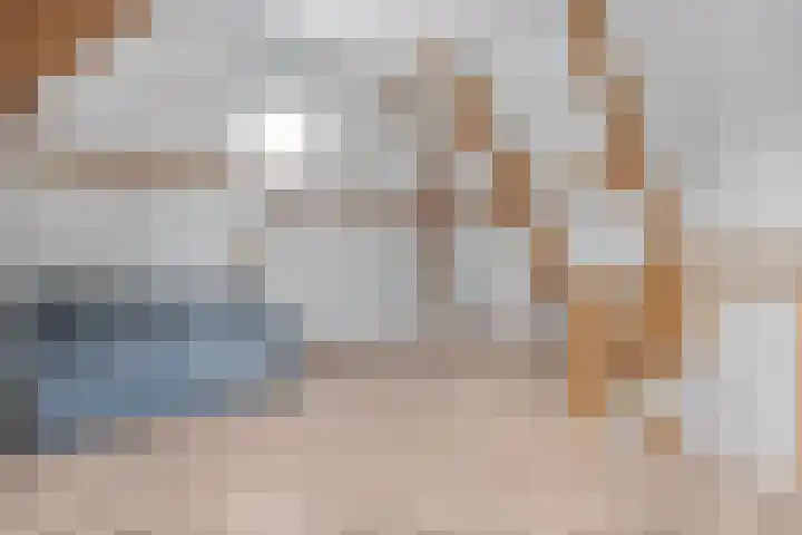 Kuipersweg 58 Dalfsen thumbnail 45