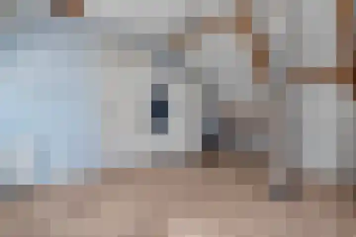 Kuipersweg 58 Dalfsen thumbnail 48