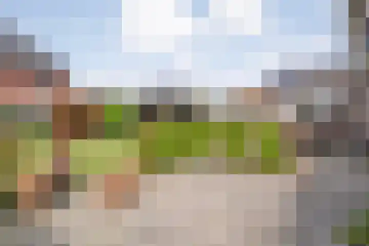 Kuipersweg 58 Dalfsen thumbnail 50