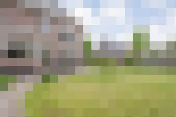 Kuipersweg 58 Dalfsen thumbnail 55