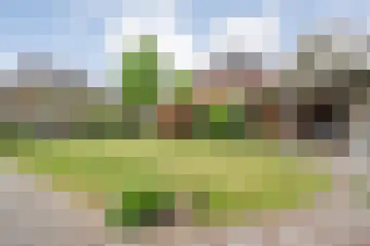 Kuipersweg 58 Dalfsen thumbnail 56