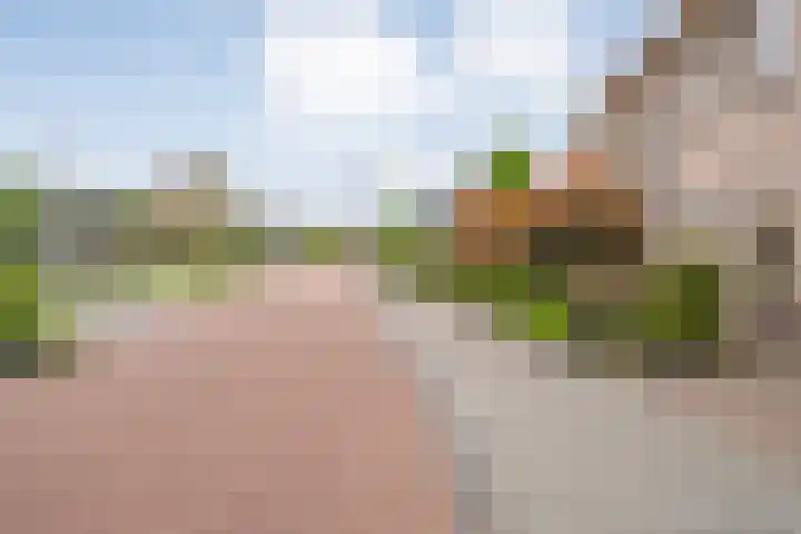 Kuipersweg 58 Dalfsen thumbnail 7