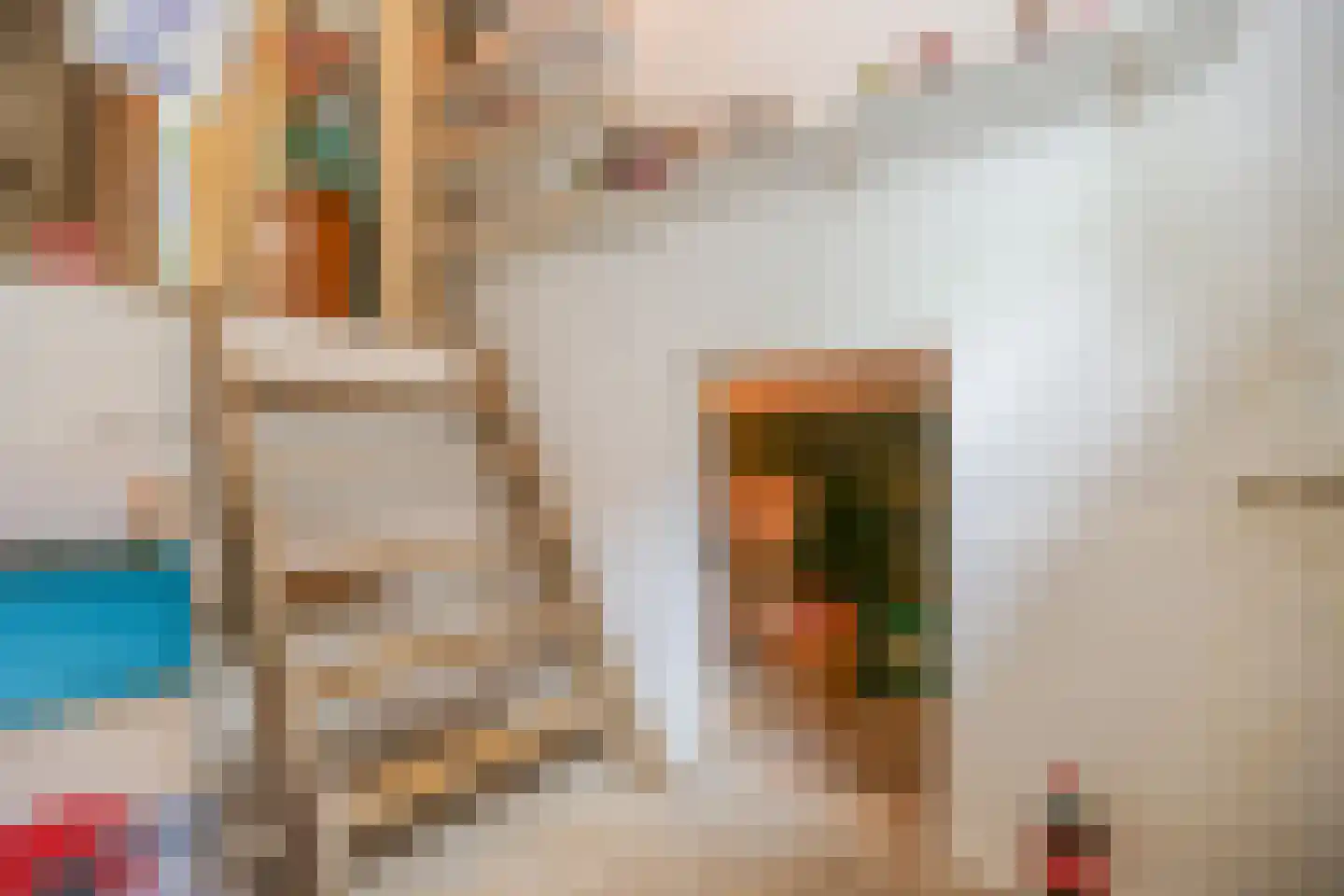 Kuipersweg 60 Buitenpost thumbnail 20