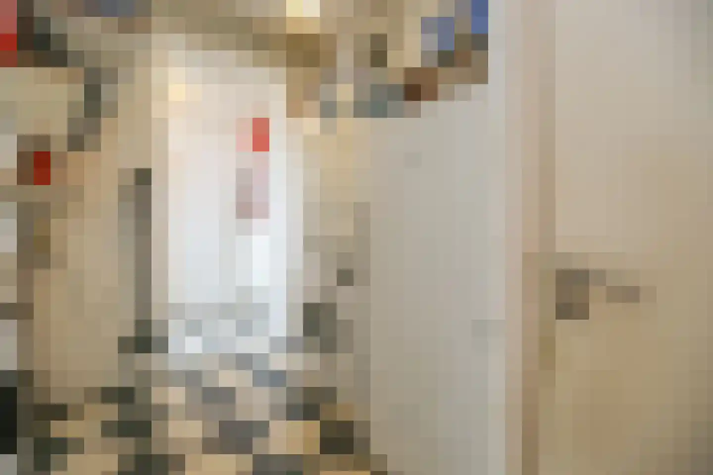Kuipersweg 60 Buitenpost thumbnail 28