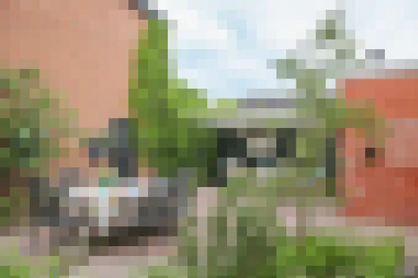 Kuipersweg 60 Buitenpost thumbnail 35