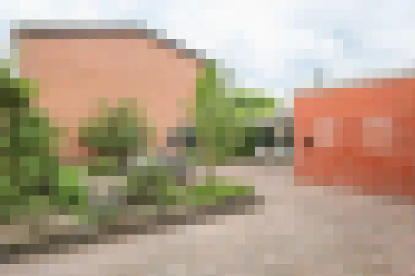 Kuipersweg 60 Buitenpost thumbnail 4