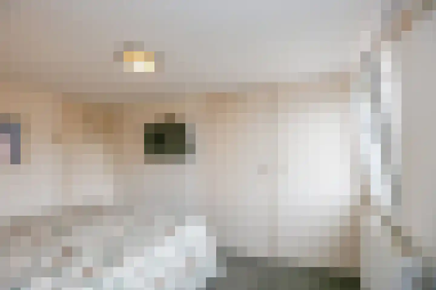 Kuipersweg 60 Buitenpost thumbnail 45