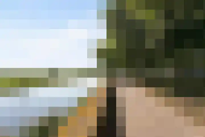 Kuipertjeswal 21 's-Hertogenbosch thumbnail 18