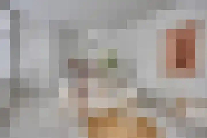 Kuipertjeswal 21 's-Hertogenbosch thumbnail 5