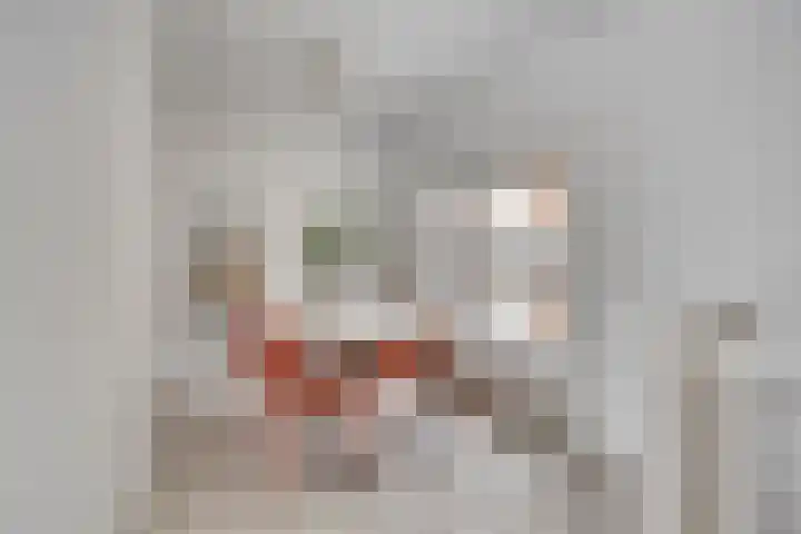 Kuipertjeswal 21 's-Hertogenbosch thumbnail 6