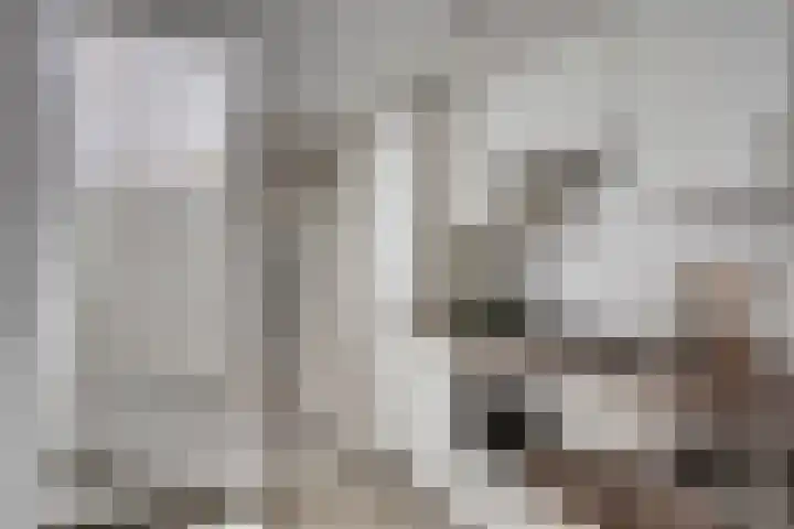 Kuipertjeswal 21 's-Hertogenbosch thumbnail 8