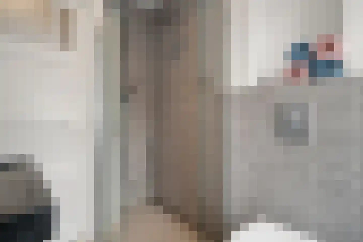 Kuipertjeswal 4 's-Hertogenbosch thumbnail 30