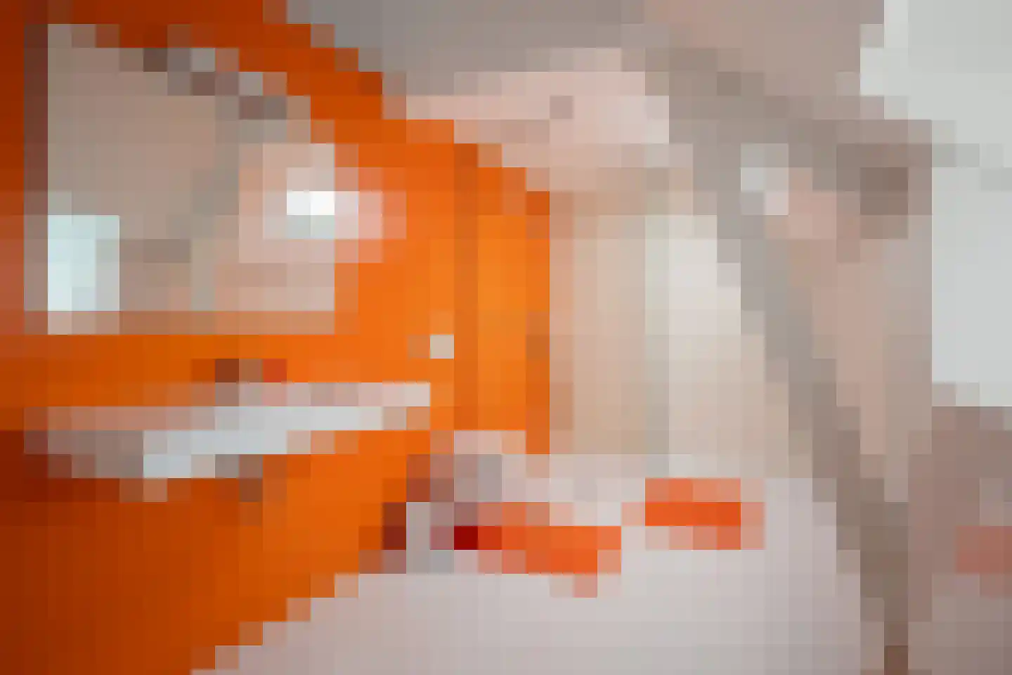 Kuipertjeswal 4 's-Hertogenbosch thumbnail 35