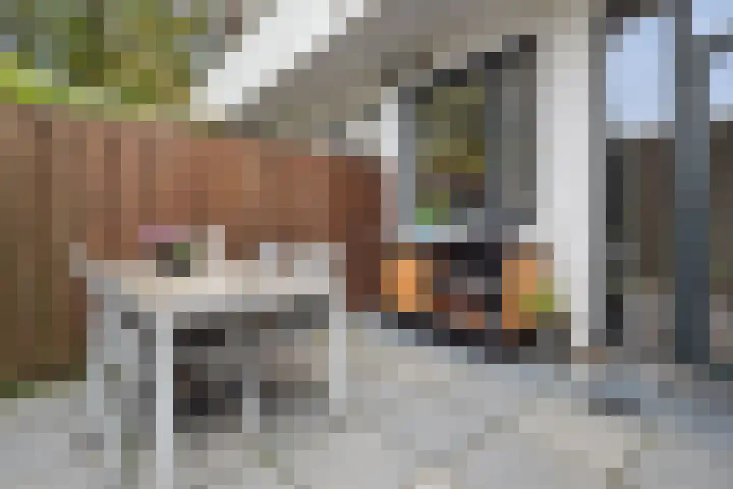 Kuipertjeswal 4 's-Hertogenbosch thumbnail 39