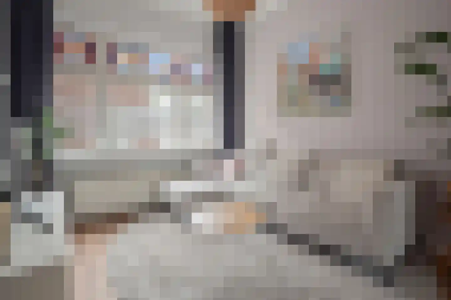 Kuipertjeswal 4 's-Hertogenbosch thumbnail 4