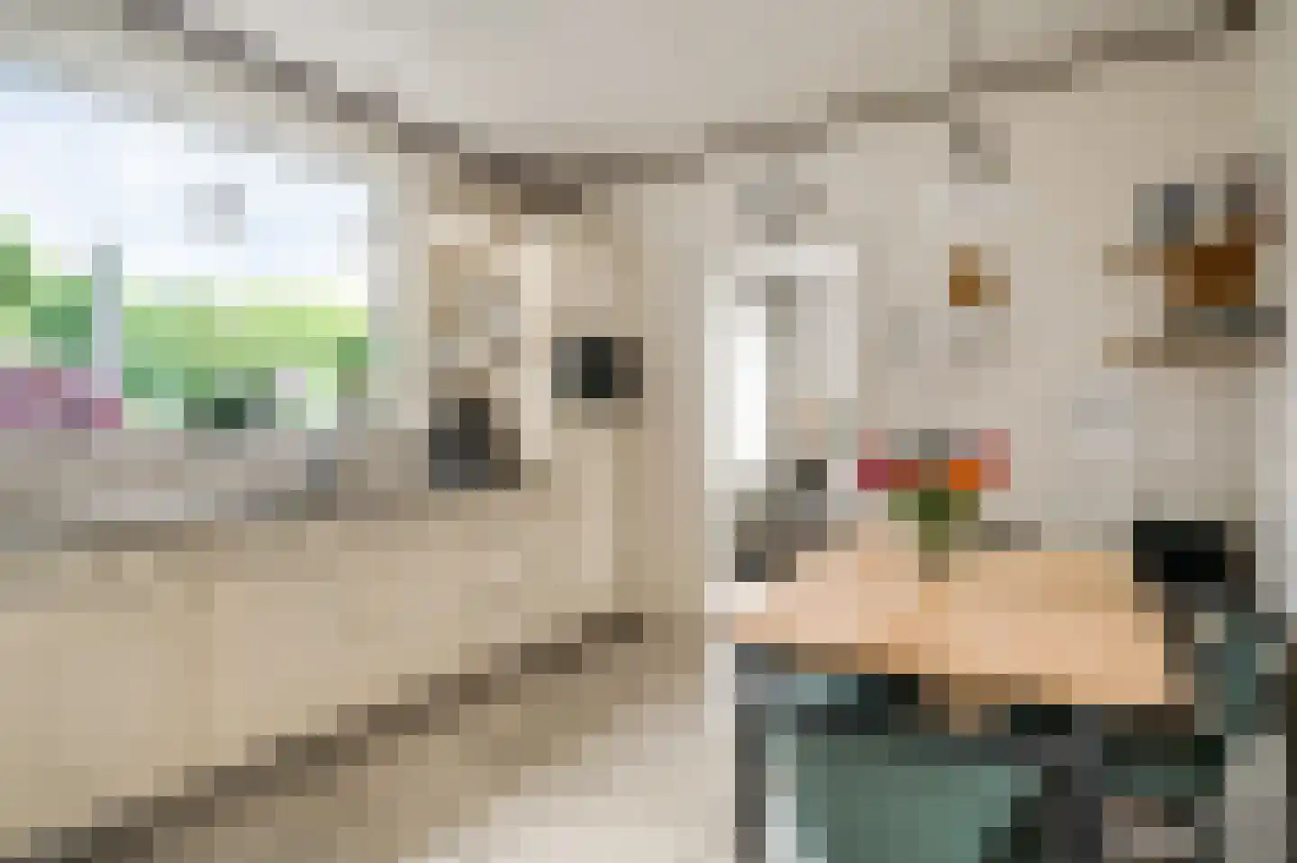 Kuiperweg 3 a Kelpen-Oler thumbnail 11