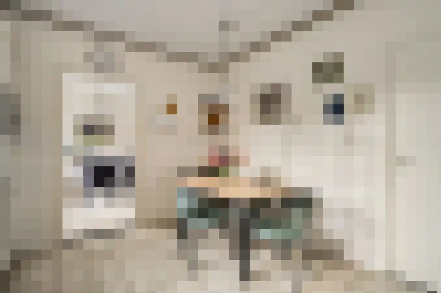 Kuiperweg 3 a Kelpen-Oler thumbnail 13