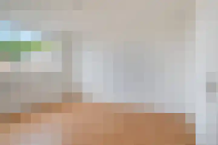Kuiperwei 10 Valkenswaard thumbnail 13