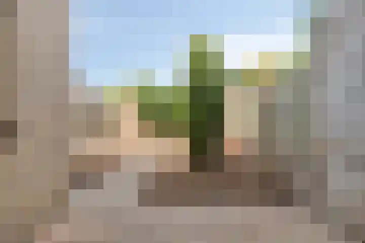 Kuiperwei 10 Valkenswaard thumbnail 17