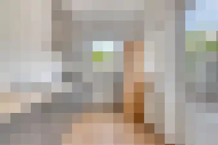 Kuiperwei 10 Valkenswaard thumbnail 9