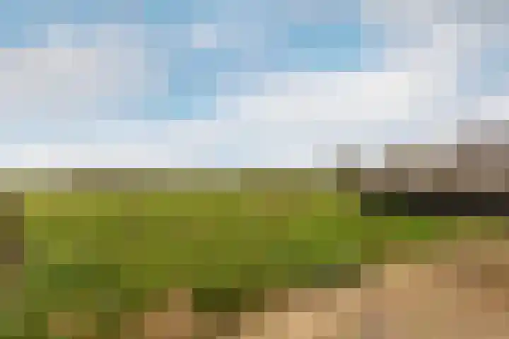 Kuivezand 19 Oud Gastel thumbnail 29