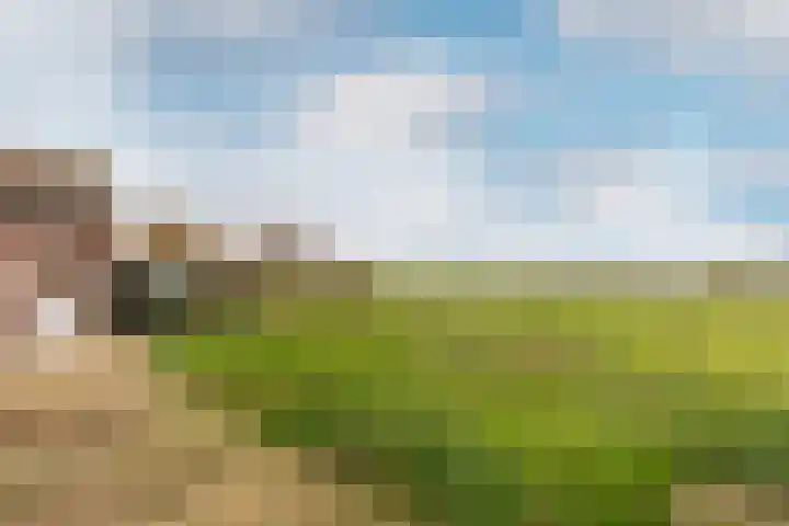 Kuivezand 19 Oud Gastel thumbnail 30
