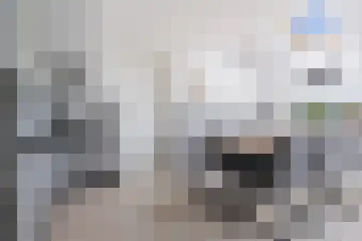 Kuivezand 25 Oud Gastel thumbnail 18