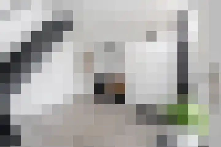 Kuivezand 25 Oud Gastel thumbnail 28