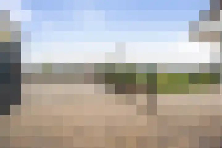 Kuivezand 25 Oud Gastel thumbnail 58