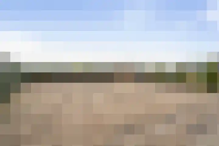 Kuivezand 25 Oud Gastel thumbnail 59