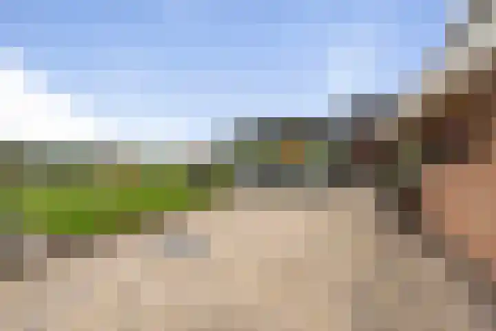 Kuivezand 25 Oud Gastel thumbnail 61