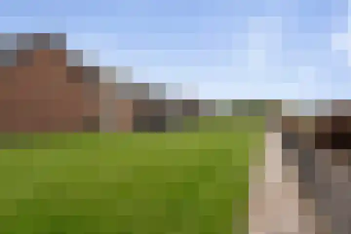 Kuivezand 25 Oud Gastel thumbnail 64