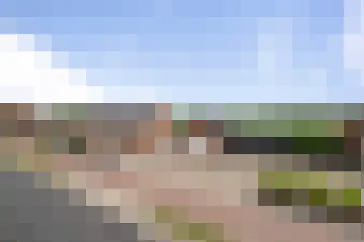 Kuivezand 25 Oud Gastel thumbnail 9