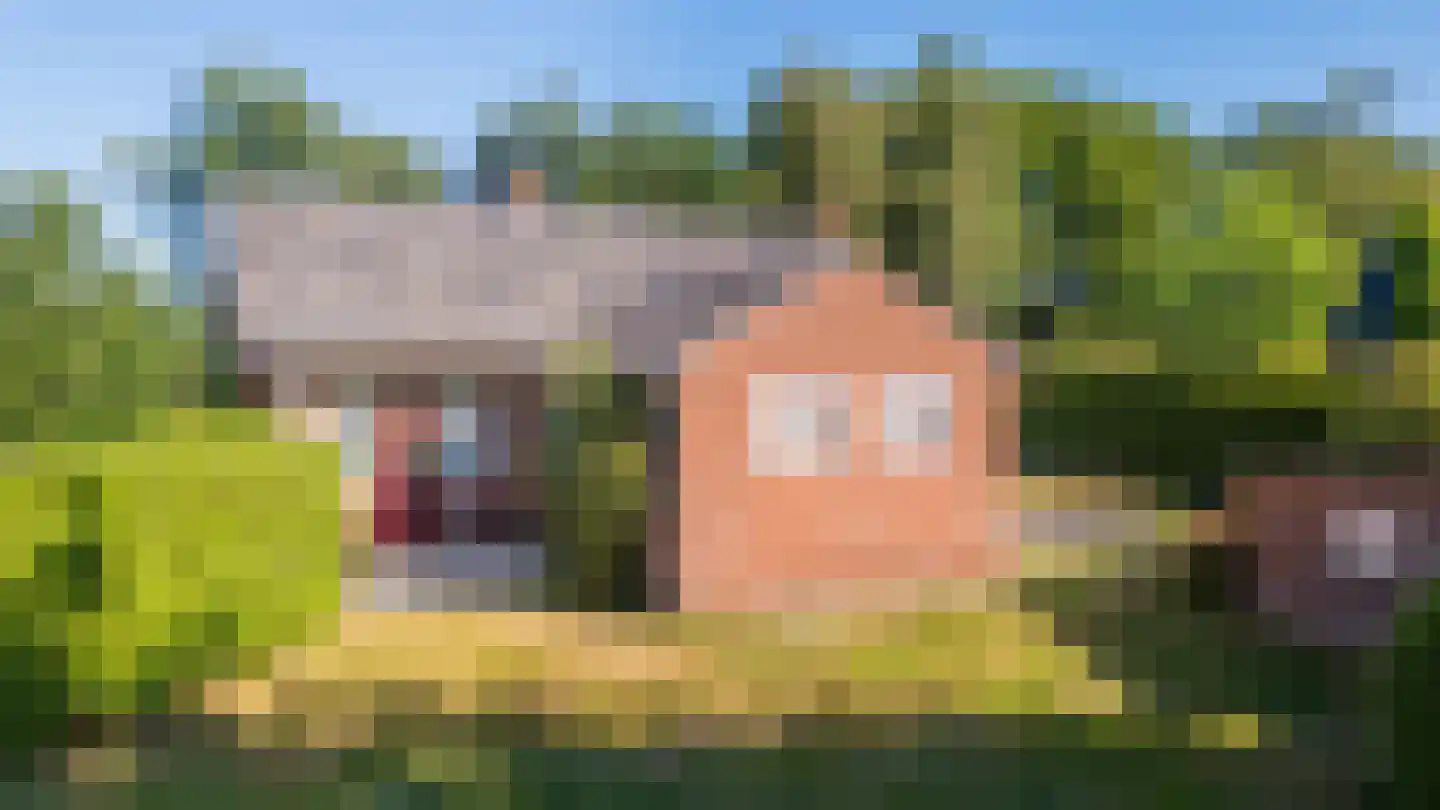 Kûkhernewei 2 Noardburgum thumbnail 11
