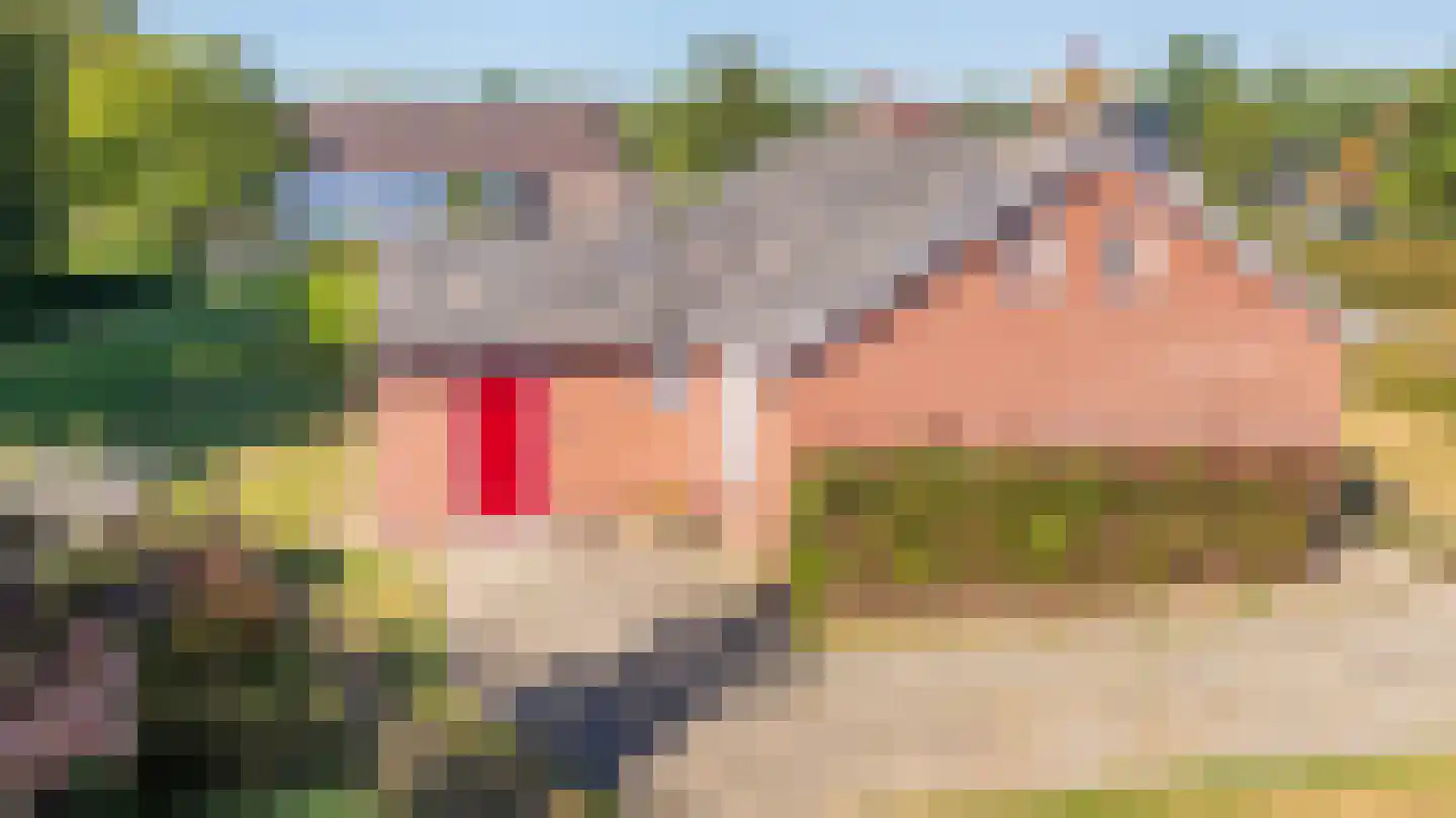 Kûkhernewei 2 Noardburgum thumbnail 12