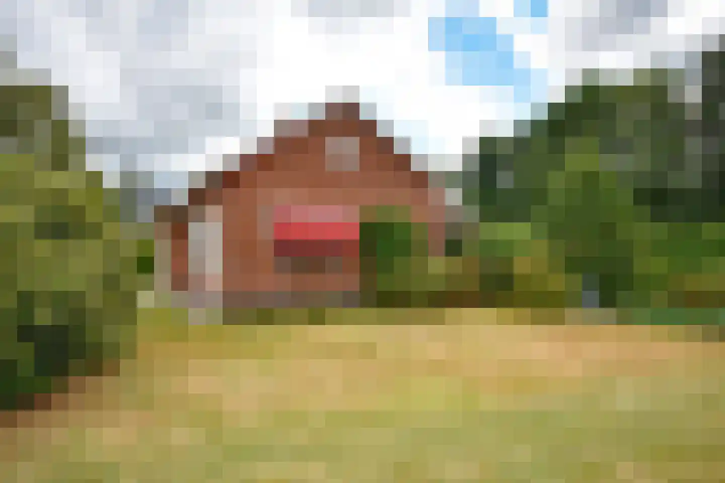 Kûkhernewei 2 Noardburgum thumbnail 14