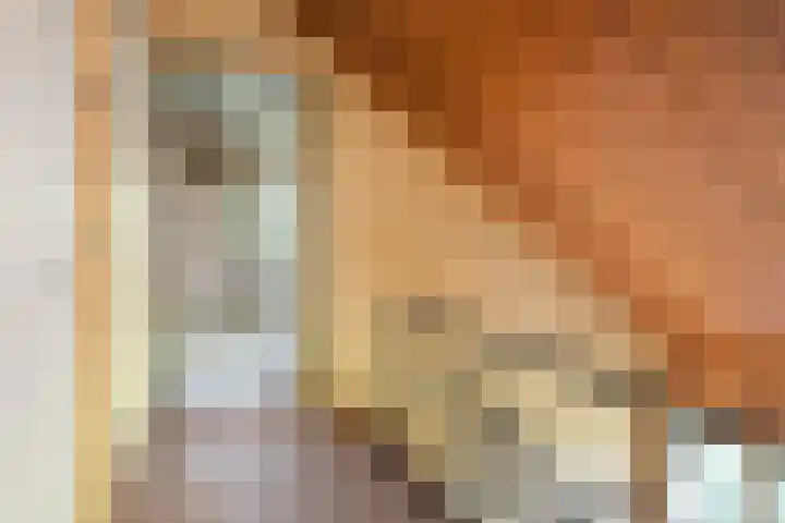 Kûkhernewei 38 Noardburgum thumbnail 25