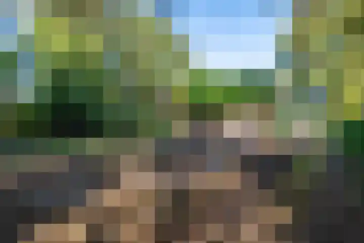 Kûkhernewei 38 Noardburgum thumbnail 33