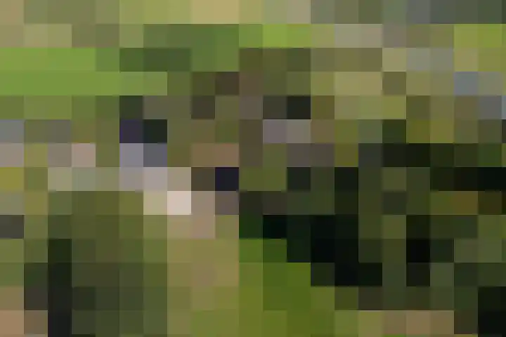 Kûkhernewei 38 Noardburgum thumbnail 34