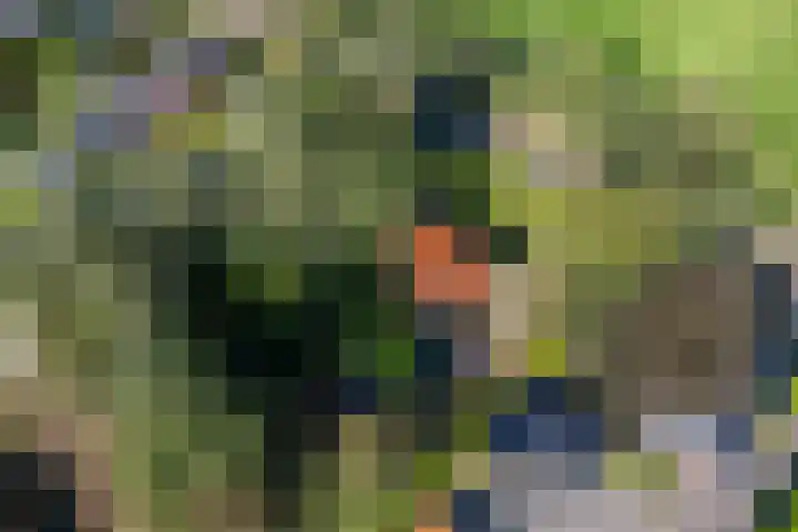 Kûkhernewei 38 Noardburgum thumbnail 35