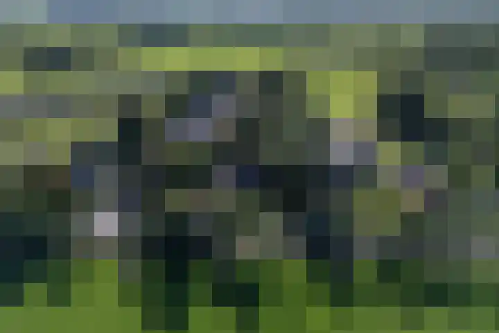 Kûkhernewei 38 Noardburgum thumbnail 36