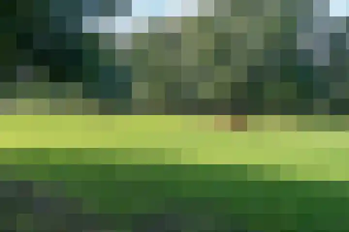 Kûkhernewei 38 Noardburgum thumbnail 37