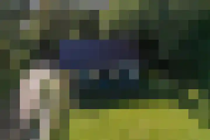 Kûkhernewei 38 Noardburgum thumbnail 38