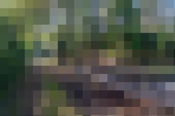 Kûkhernewei 38 Noardburgum thumbnail 4
