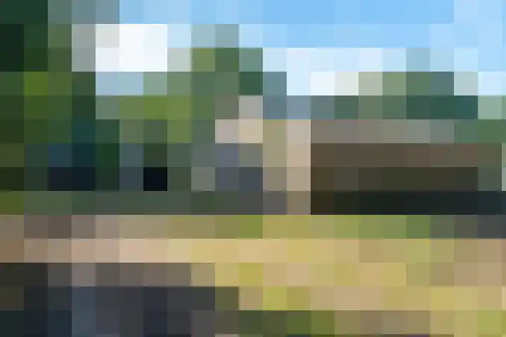 Kûkhernewei 38 Noardburgum thumbnail 6