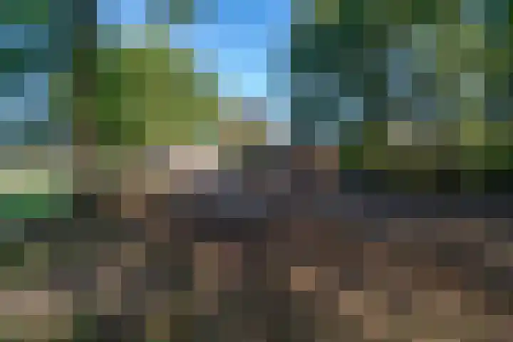 Kûkhernewei 38 Noardburgum thumbnail 7