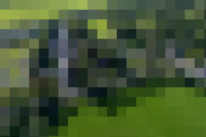 Kûkhernewei 38 Noardburgum thumbnail 9