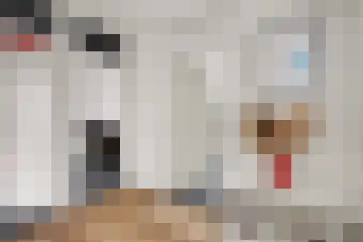 Kukslanden 15 Enschede thumbnail 18