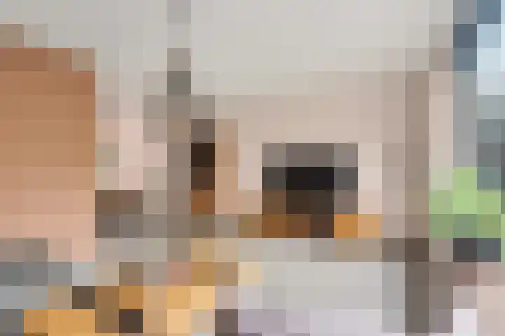 Kukslanden 15 Enschede thumbnail 8
