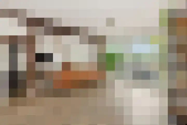 Kulertseweg 19 Deurne thumbnail 14